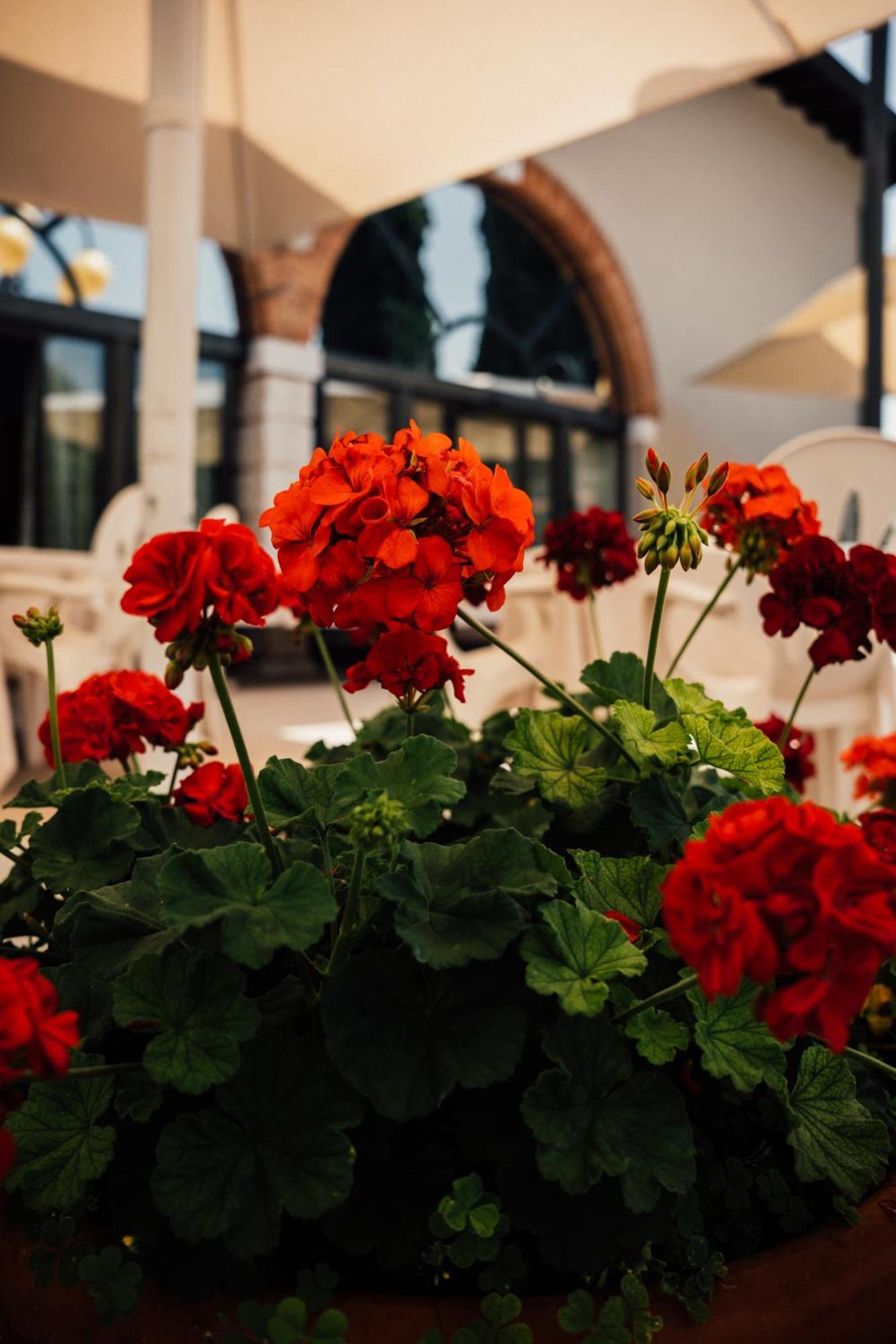 Albergo La Meridiana Castelnuovo del Garda Extérieur photo